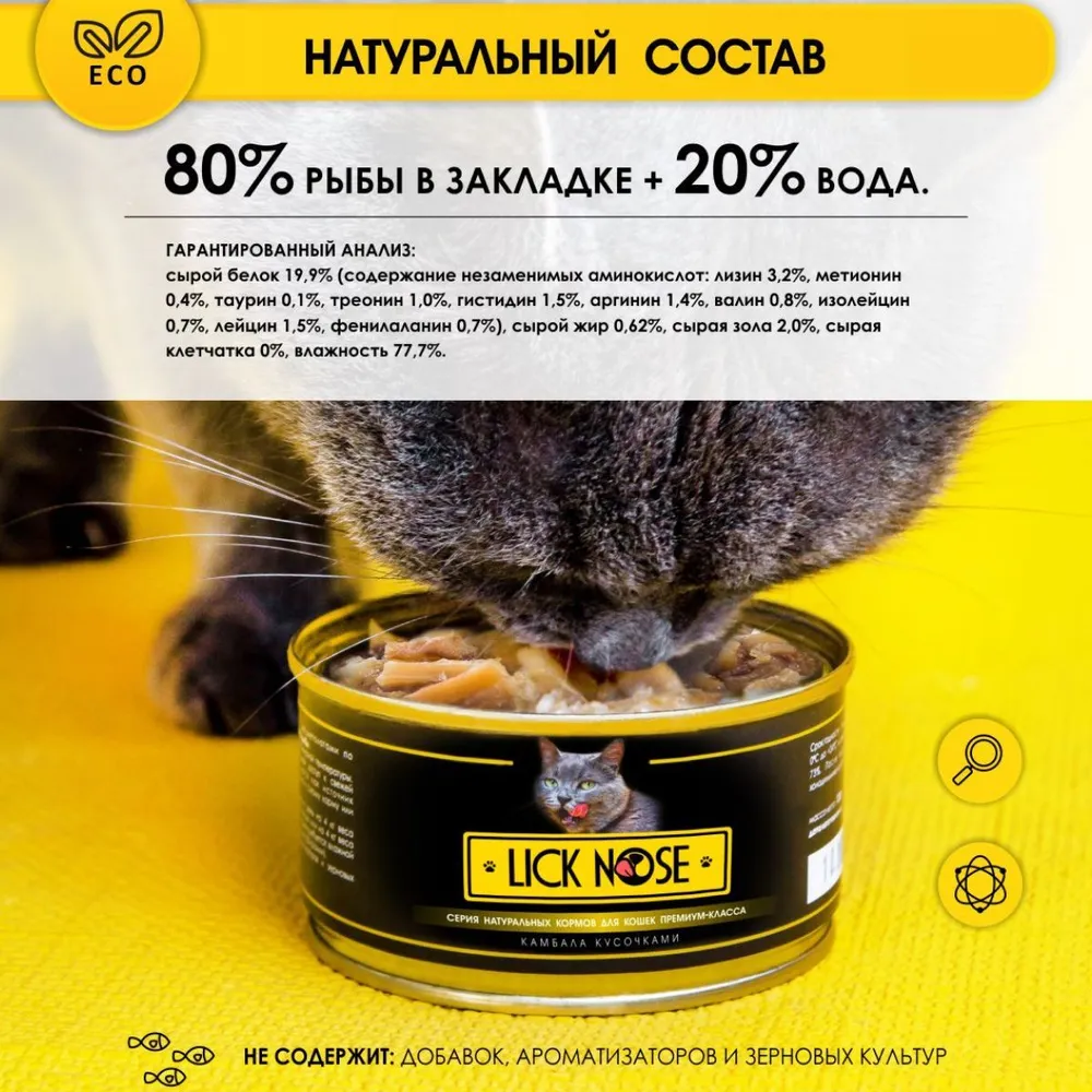 6696237051.webp