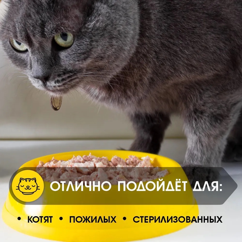 7000604671.webp