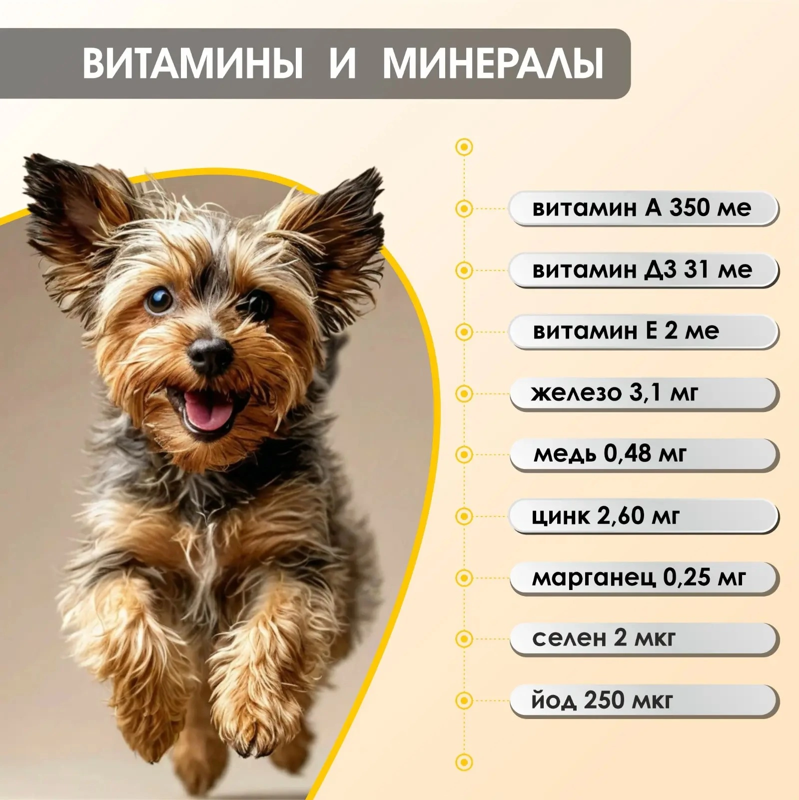d9a095db-ad9e-4508-80ed-02a090a1edde.webp