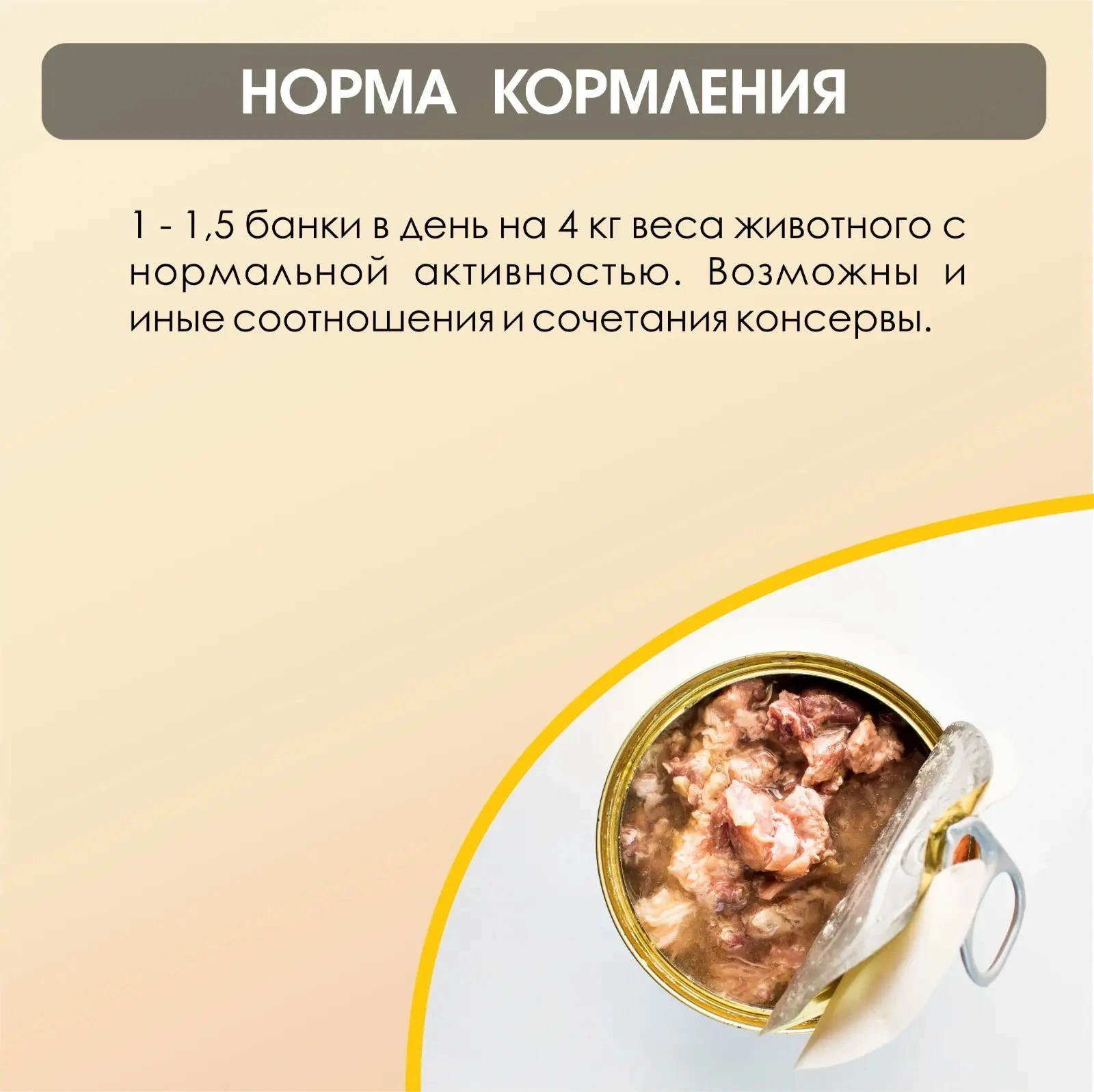e9de6b4f-b94a-4d96-948c-c22fbe4e8826.webp