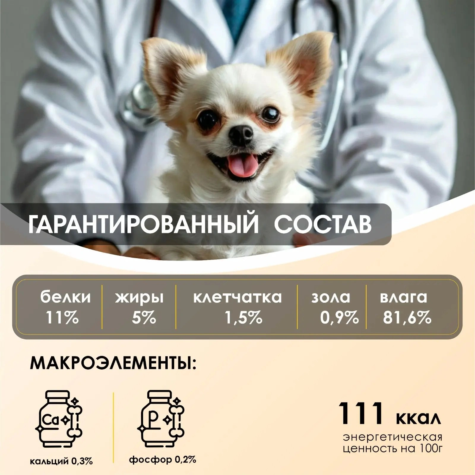 2aaf583d-9941-4eaa-9755-7cb2e0bd9bbd.webp