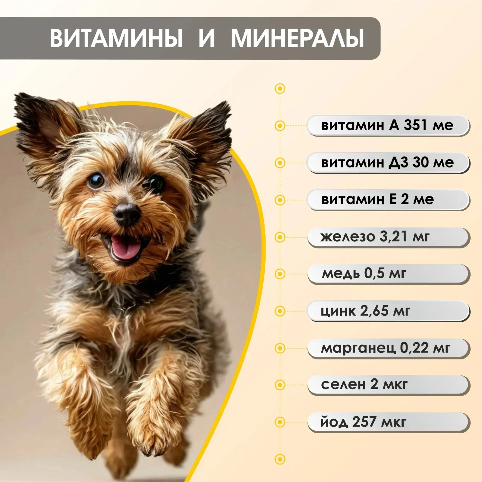 87a4e530-bf8a-4cd8-a60e-48e5c2fabc65.webp