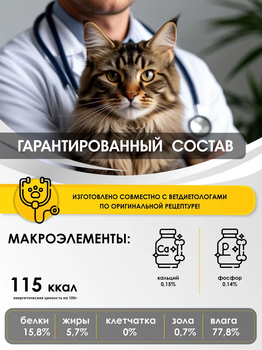 03.webp