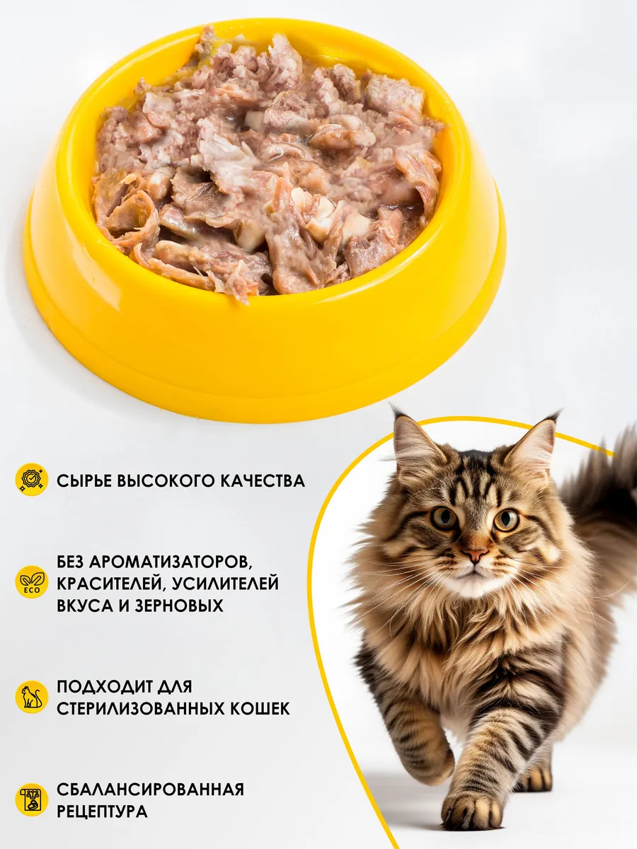 04.webp
