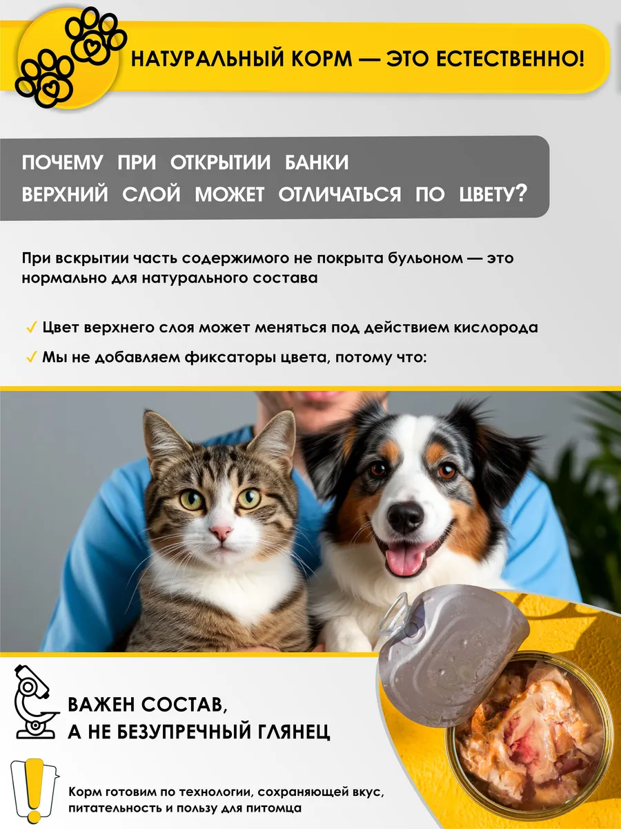 05.webp