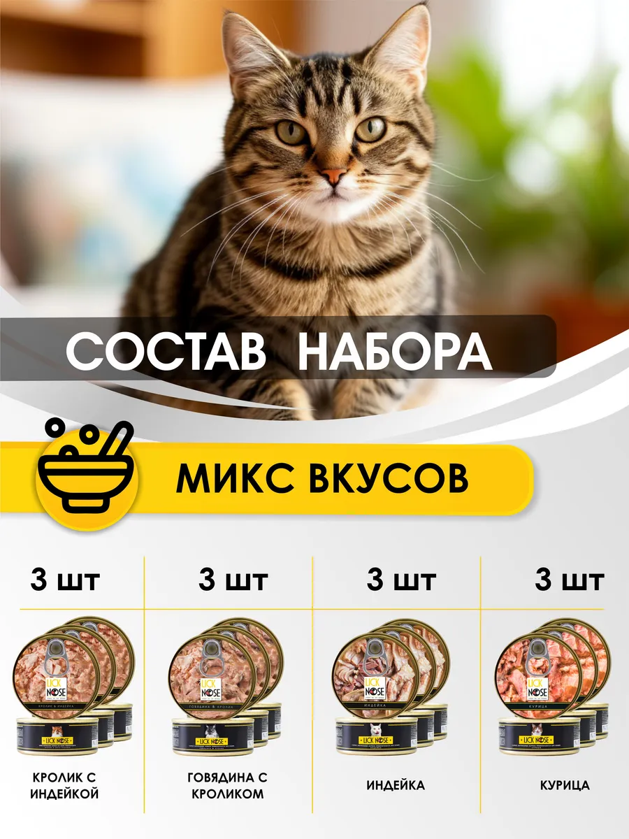 02.webp