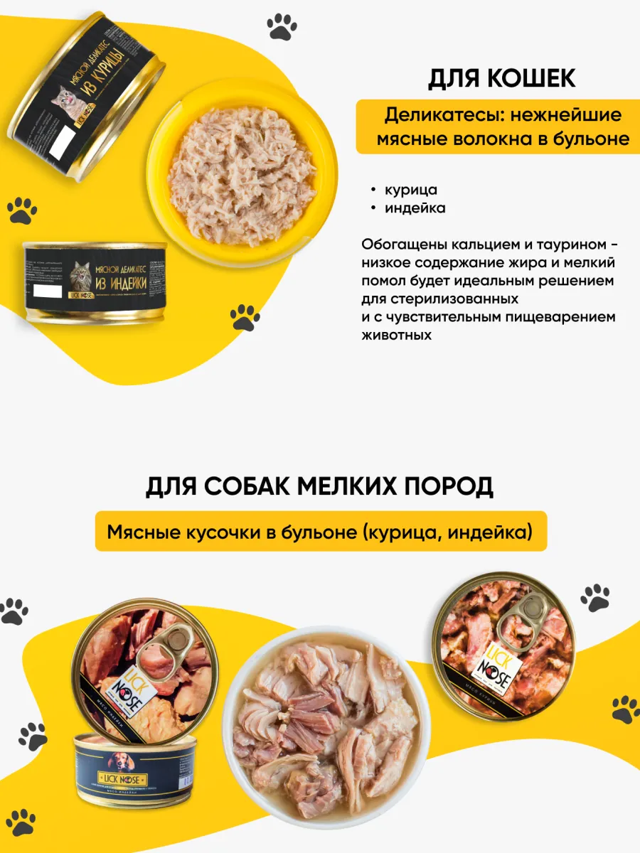 11.webp