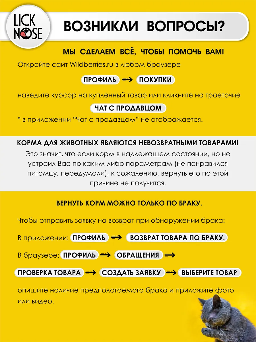 13.webp