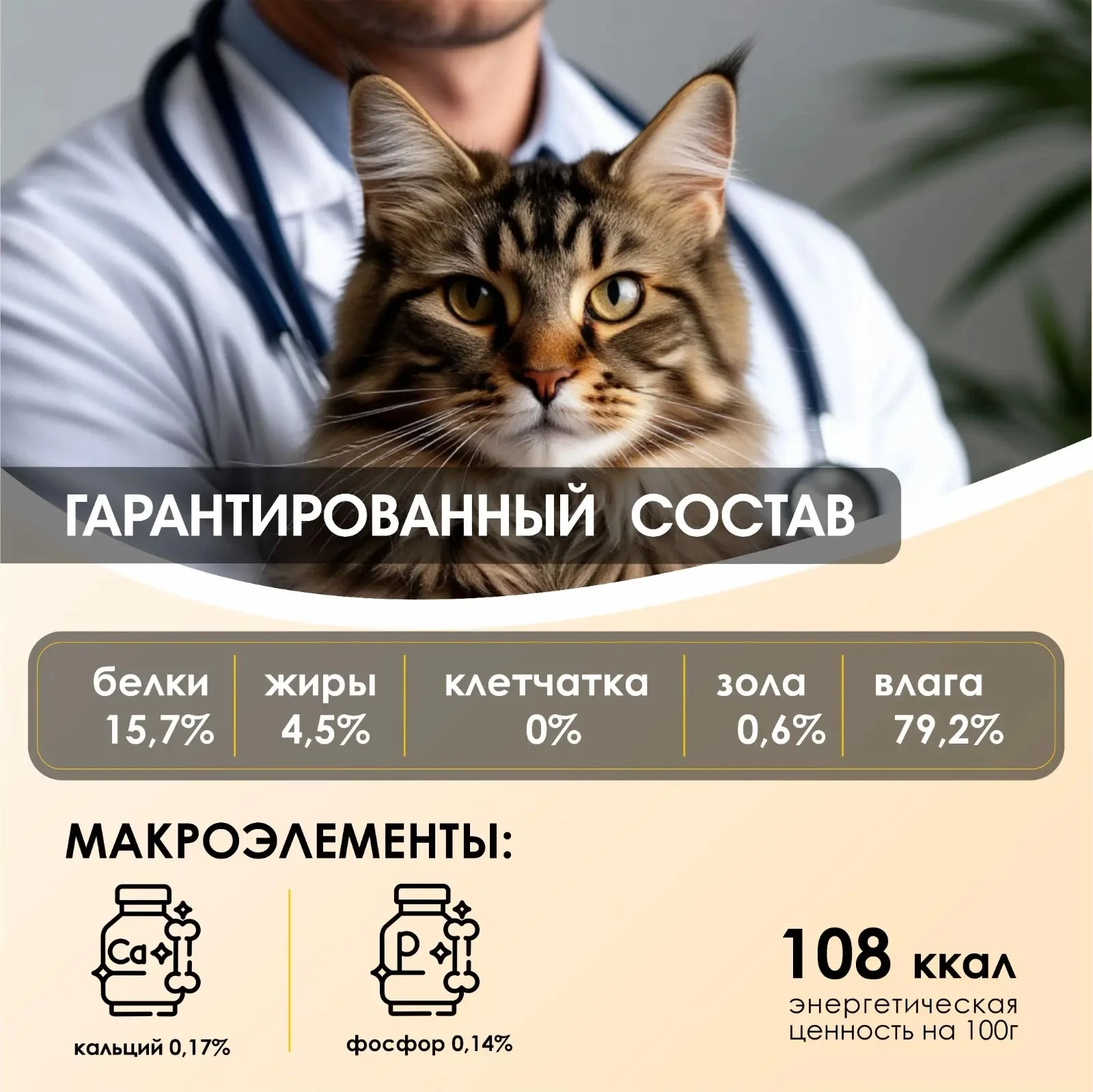 7ea230bb-0dbf-480c-9af1-711ed601466d.webp