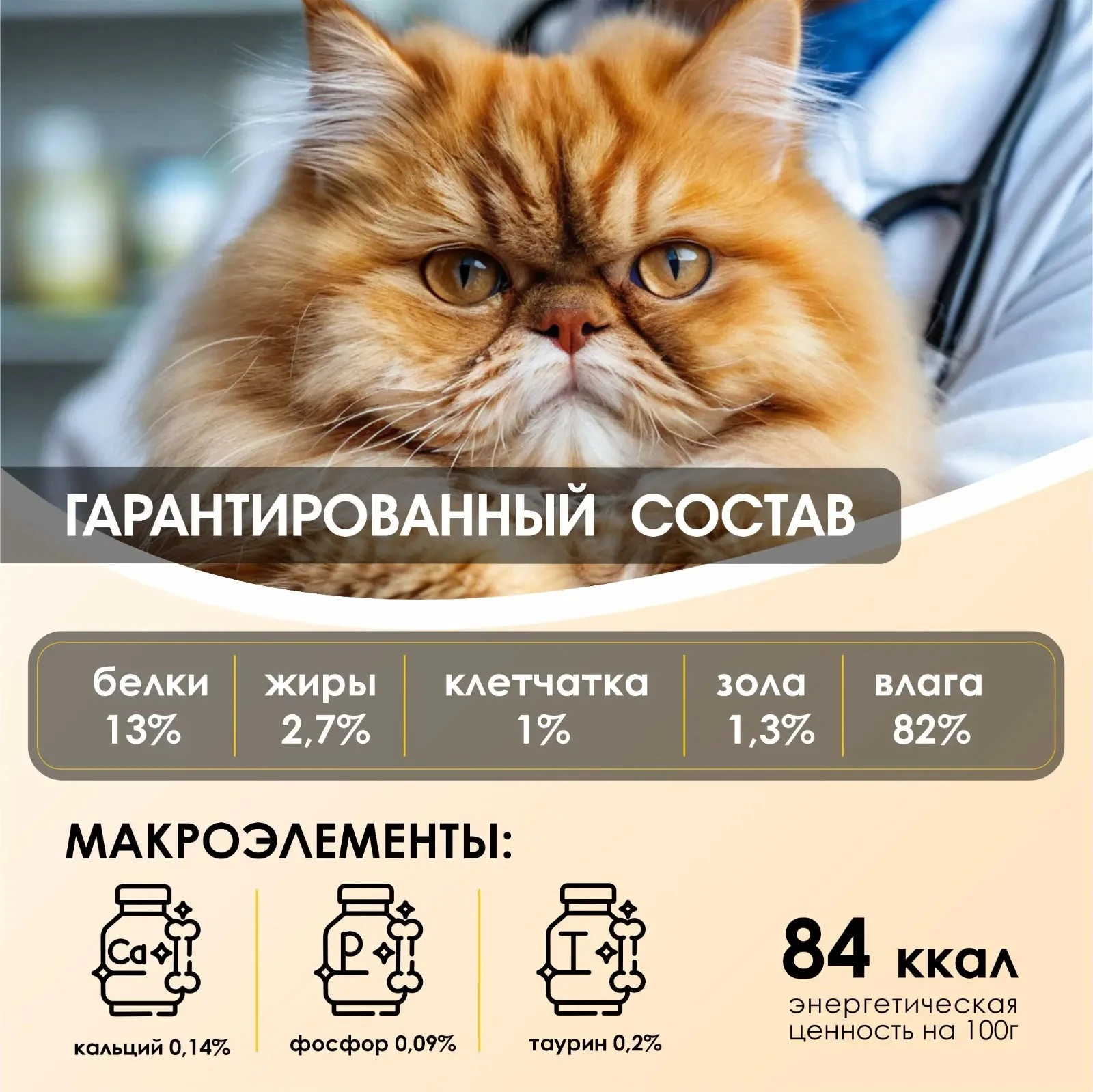 7a4efe19-5d7b-4a9c-80be-5c693fdba883.webp