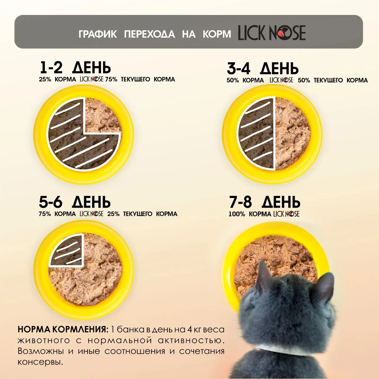 a23cc550-fbf4-4c76-ab20-0851fa19cc51.webp