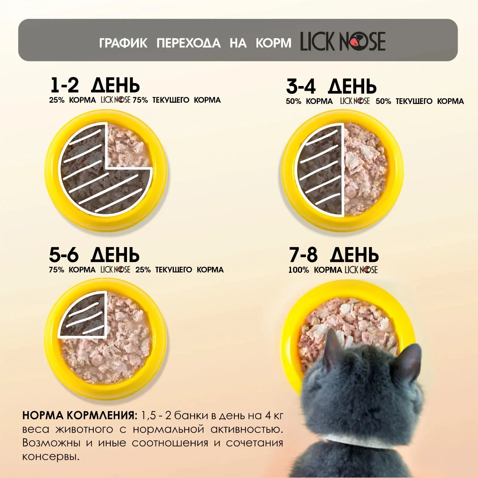 167b9ce8-e3b2-4ab2-8659-852f36c6e42d.webp