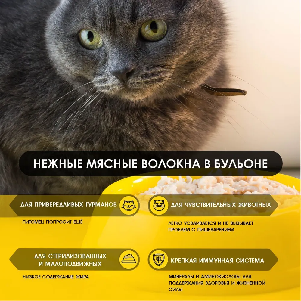 7000600481.webp